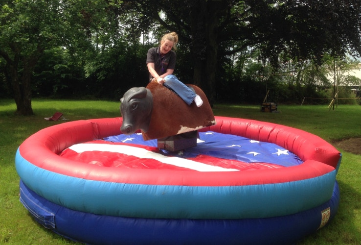 Rodeo bull hire