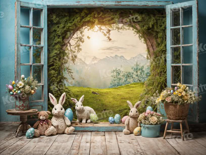 Photographer hire Northern Ireland